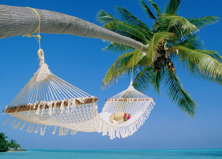 昆明石林、大理、麗江古城、玉龍雪山、?？?、