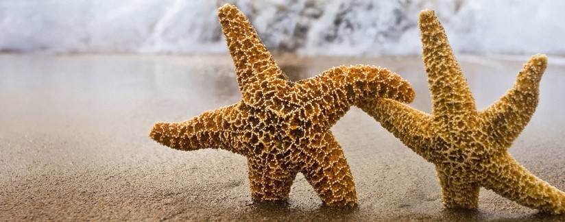 武夷山、九曲溪、福州、泉州、廈門(mén)、龍巖、永