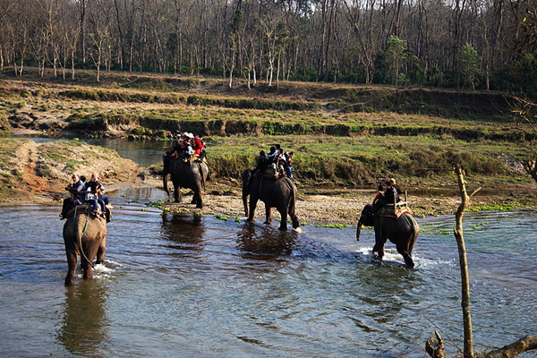 印度、尼泊爾9日