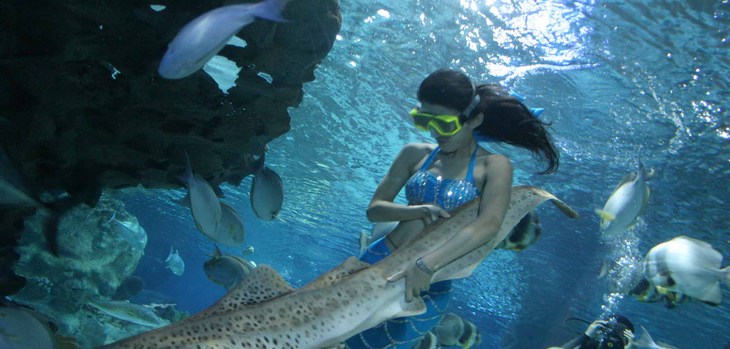 北京28人純玩0自費<不帶銀兩游京城>3晚4日?第