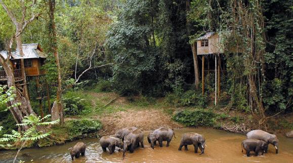 【云南環(huán)飛】昆明九鄉(xiāng)、西雙版納、中緬邊境三