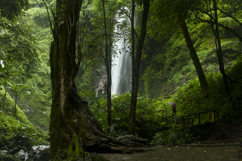<font color='#0000FF'>芒市、瑞麗、騰沖雙飛5日</font>