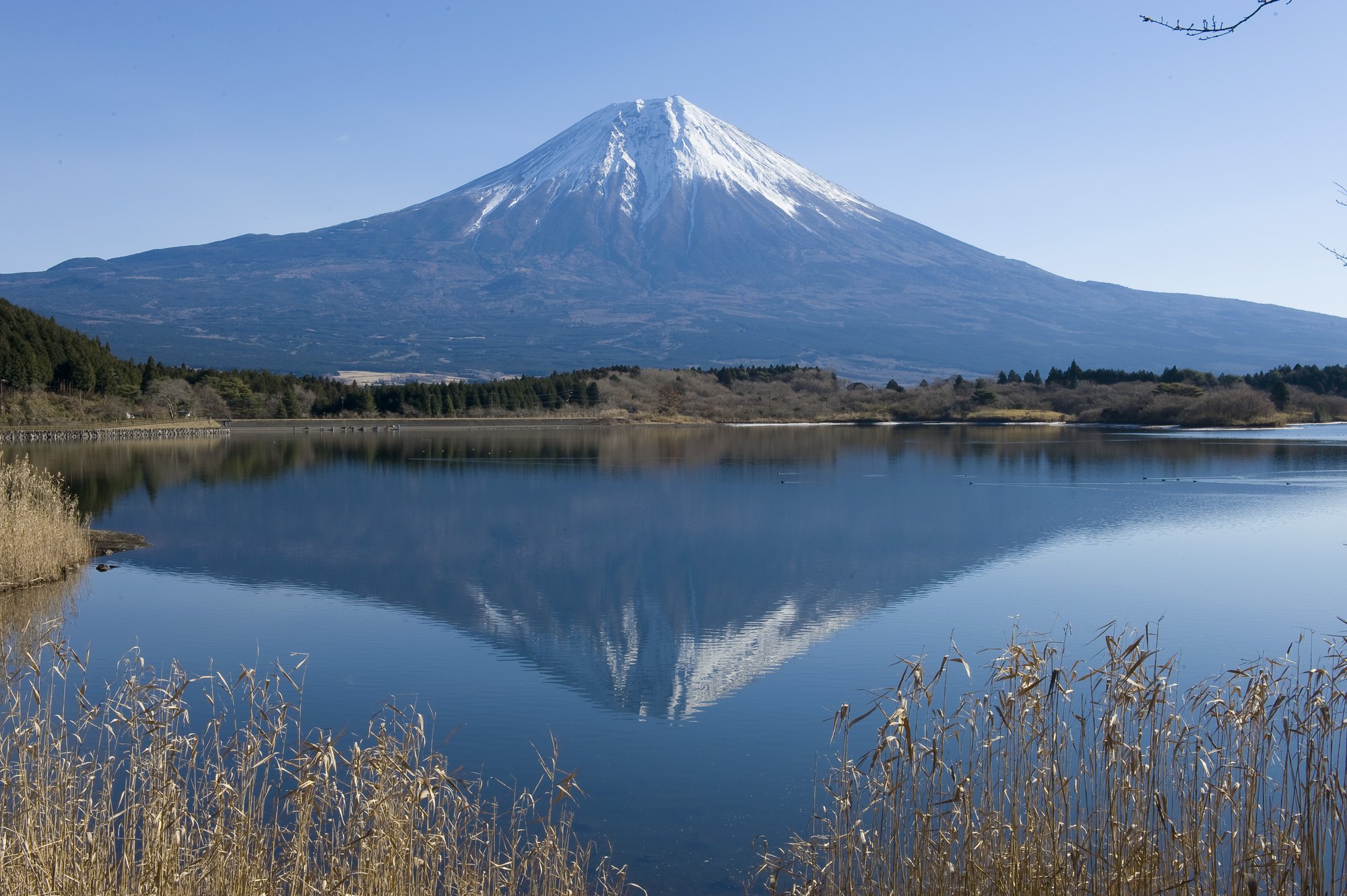 東京、箱根、京都、大阪6日**三大樂園の3~4星酒