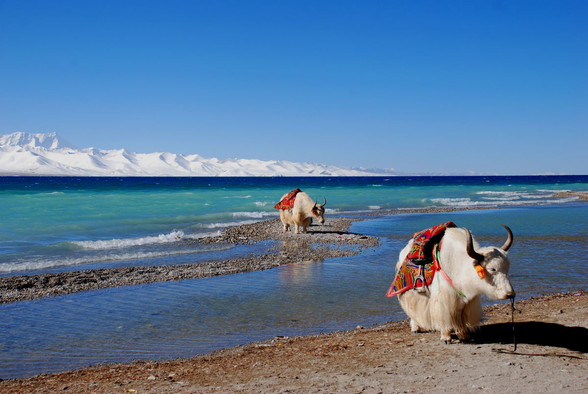【北京成團(tuán)】拉薩林芝日喀則.納木錯.珠峰大本營
