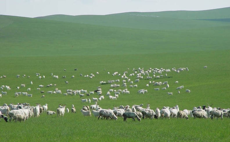 希拉穆仁草原、庫布其沙漠、席力圖召、成吉思
