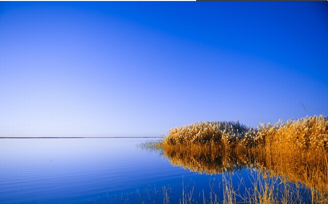 走進(jìn)額濟(jì)納 邂逅胡楊林 張掖七彩丹霞地貌  雙臥