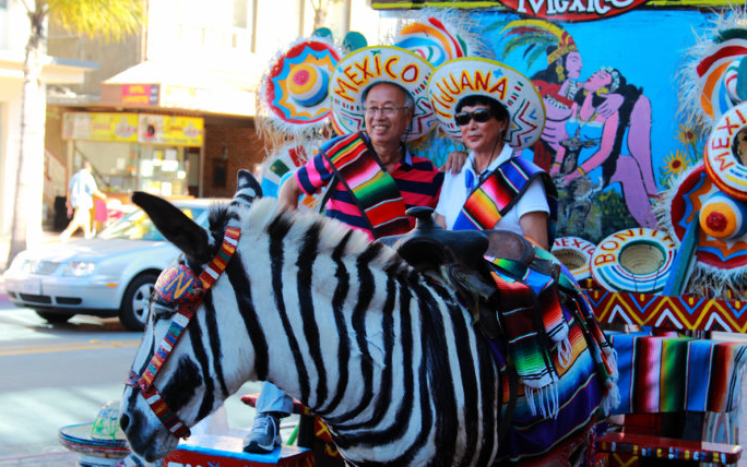 美國東西海岸、大瀑布、墨西哥蒂華納、加拿大