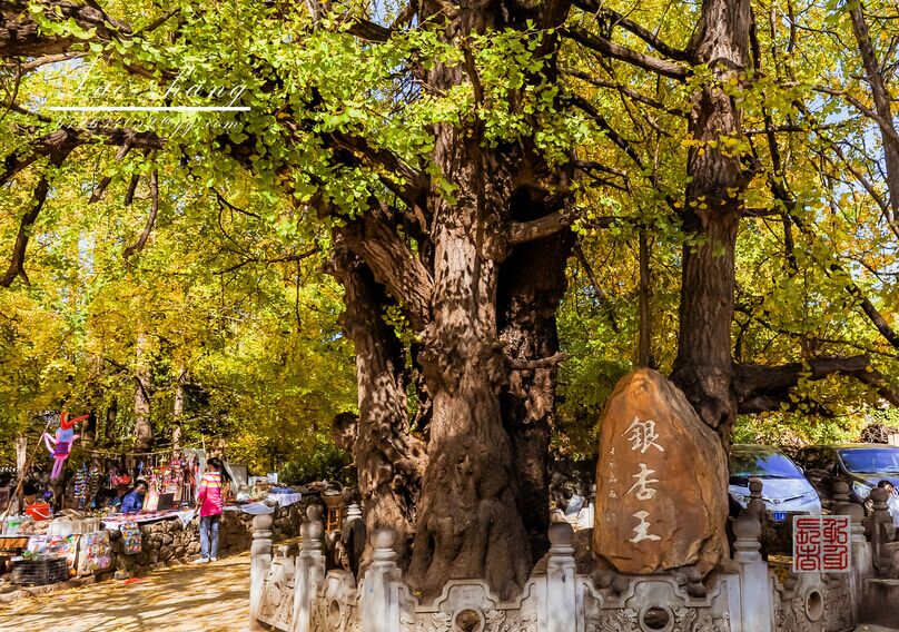 保山、騰沖、怒江雙飛5日
