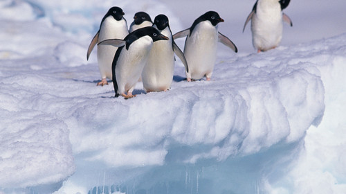 12月17日北京往返，南極攝影之旅